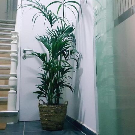 Cozy Rooms With Share The Bathroom And Kitchen بروكسل المظهر الخارجي الصورة