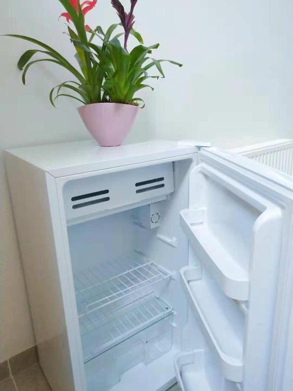 Cozy Rooms With Share The Bathroom And Kitchen بروكسل المظهر الخارجي الصورة